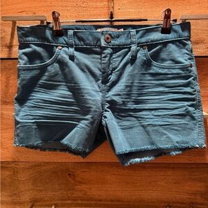 Carve Designs Teal Jean Shorts
